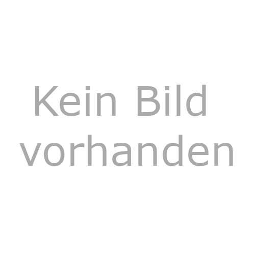 Dachrinnenaufrichtzange